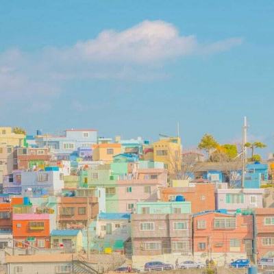 贝博app体育下载安装8499